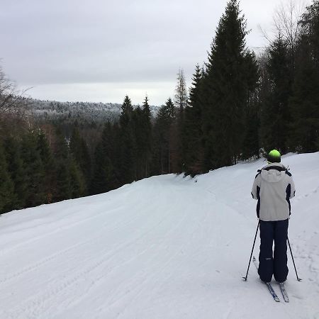 Pokoje Goscinne Vida Krynica Zdroj Ngoại thất bức ảnh