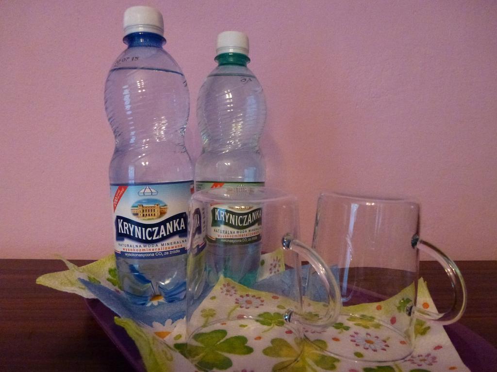 Pokoje Goscinne Vida Krynica Zdroj Phòng bức ảnh